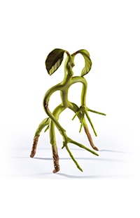 Fantastic Beasts: The Crimes of Grindelwald™ Bendable Bowtruckle