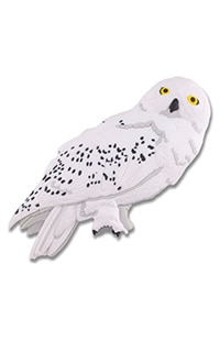 Hedwig™ Magnet