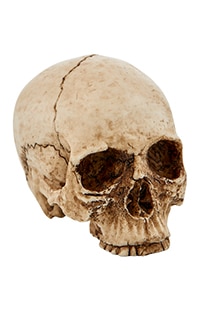 Miniature Decorative Skull