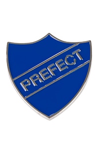 Ravenclaw™ Prefect Pin