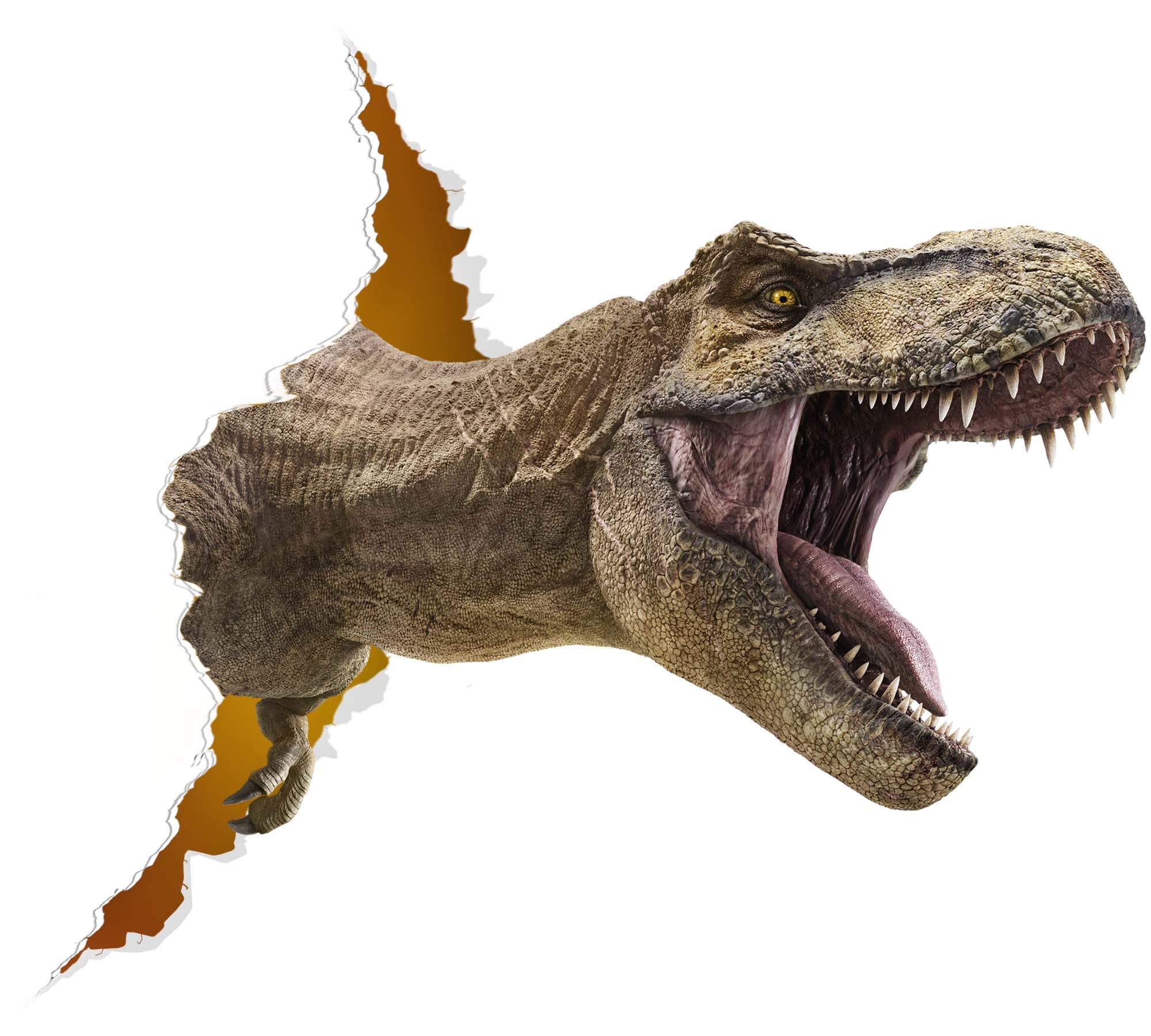 Scary Dino rawr