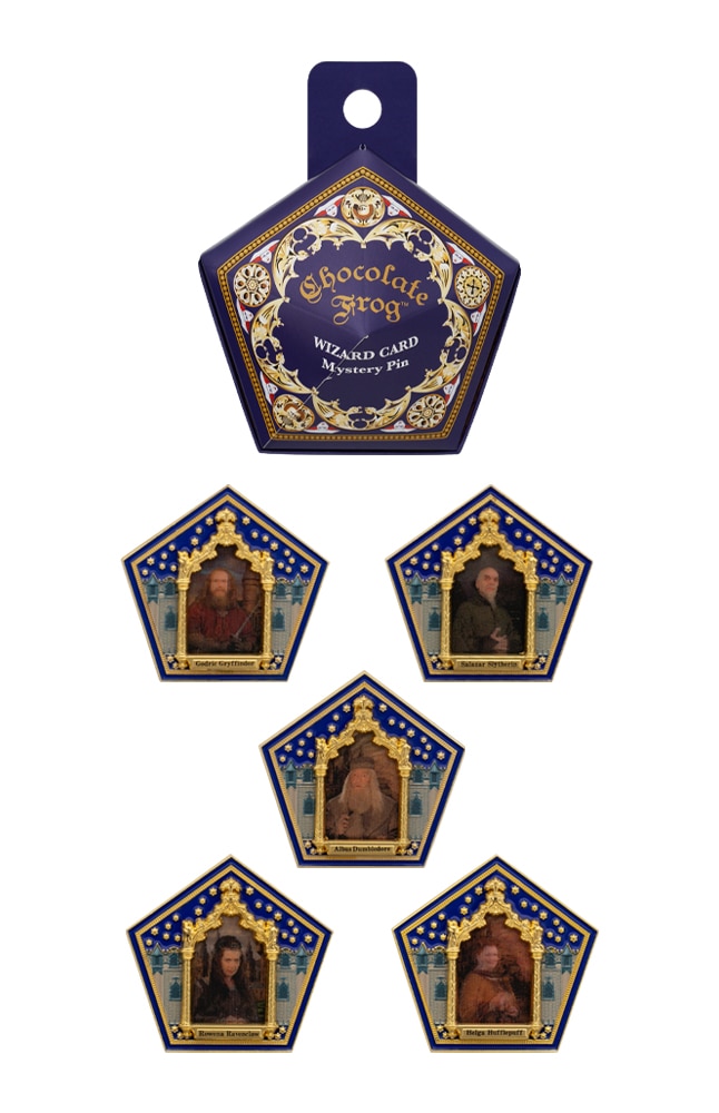 Image for Chocolate Frog&trade; Mystery Pin from UNIVERSAL ORLANDO