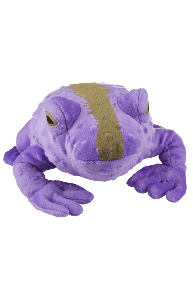 purple toad plush