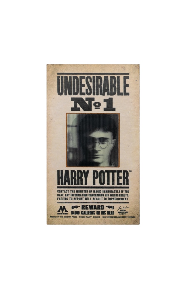 Image for Harry Potter&trade; Undesirable No. 1 Magnet from UNIVERSAL ORLANDO