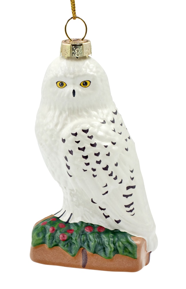 Image for Hedwig&trade; Glass Ornament from UNIVERSAL ORLANDO