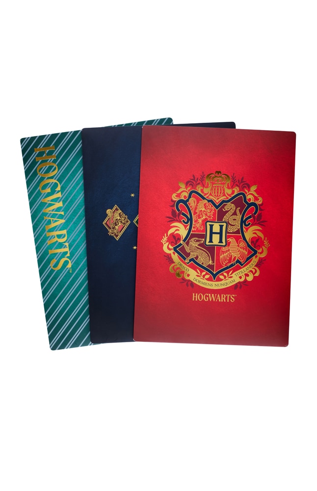 Harry Potter: Harry Potter: Hogwarts Houses File Folder Set (Set of