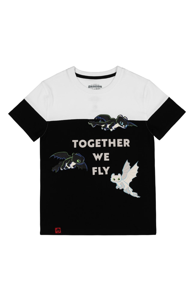 Image for How To Train Your Dragon Nightlights &quot;Together We Fly&quot; Youth T-Shirt from UNIVERSAL ORLANDO