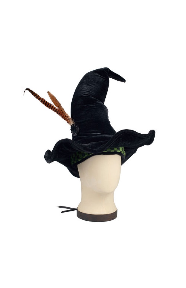 ønske Grønthandler etikette Professor McGonagall Witch Hat | UNIVERSAL ORLANDO
