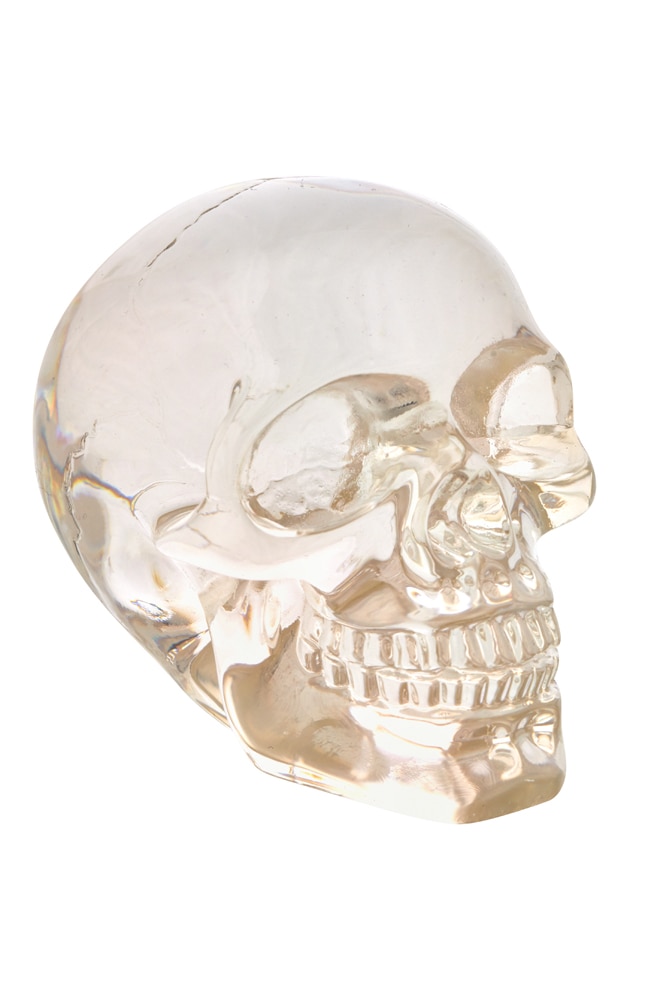 Image for Translucent Decorative Skull from UNIVERSAL ORLANDO