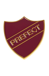 Gryffindor™ Prefect Pin