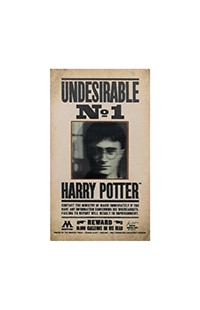 Harry Potter™ Undesirable No. 1 Magnet