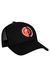 How To Train Your Dragon "Legion of Legends" Emblem Adult Cap