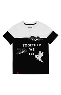 How To Train Your Dragon Nightlights "Together We Fly" Youth T-Shirt