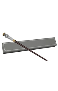 Interactive Anton Vogel Wand