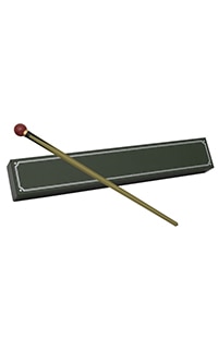 Interactive Skender Wand