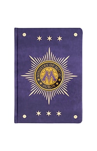 Ministry of Magic Auror Journal