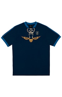 Ravenclaw™ Quidditch™ Adult Jersey