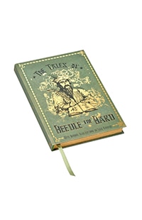 "The Tales of Beedle the Bard" Journal