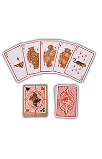 Wizard Playing Cards
